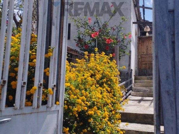 terreno agricolo in vendita a Paternò in zona Centro Storico