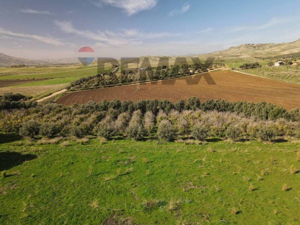 terreno agricolo in vendita a Paternò in zona Sferro