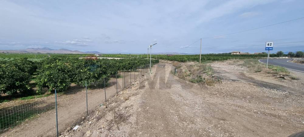 terreno agricolo in vendita a Paternò