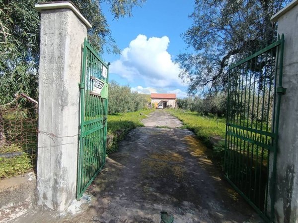 terreno agricolo in vendita a Paternò in zona Sferro