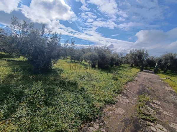 terreno agricolo in vendita a Paternò in zona Sferro