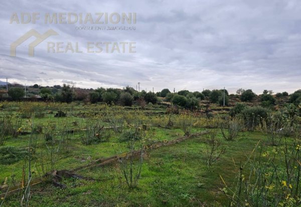 terreno agricolo in vendita a Paternò