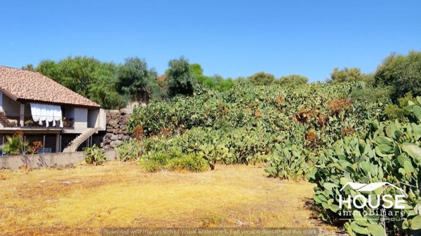 terreno in vendita a Paternò
