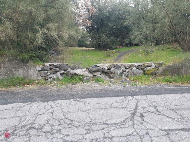 terreno agricolo in vendita a Pedara