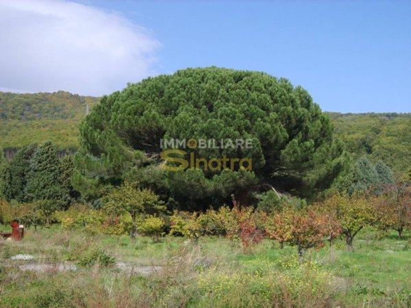 terreno agricolo in vendita a Pedara in zona Tarderia