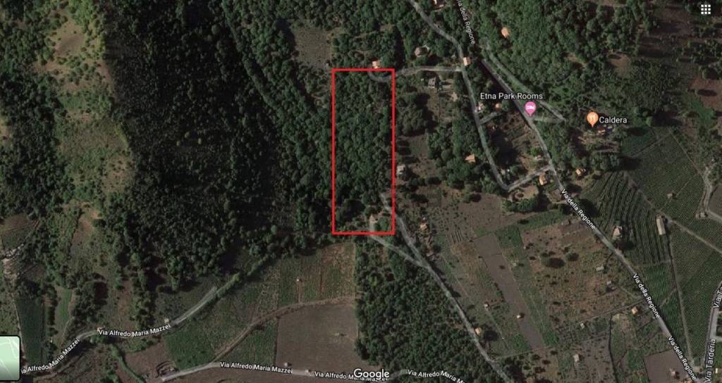 terreno agricolo in vendita a Pedara