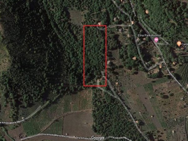 terreno agricolo in vendita a Pedara