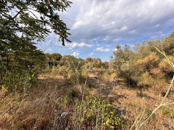 terreno agricolo in vendita a Pedara