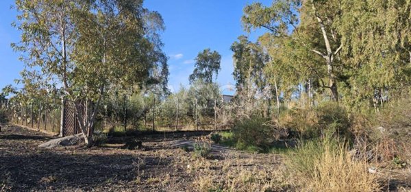 terreno agricolo in vendita a Pedara