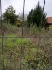 casa indipendente in vendita a Pedara