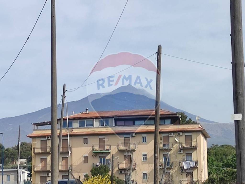 terreno agricolo in vendita a Pedara