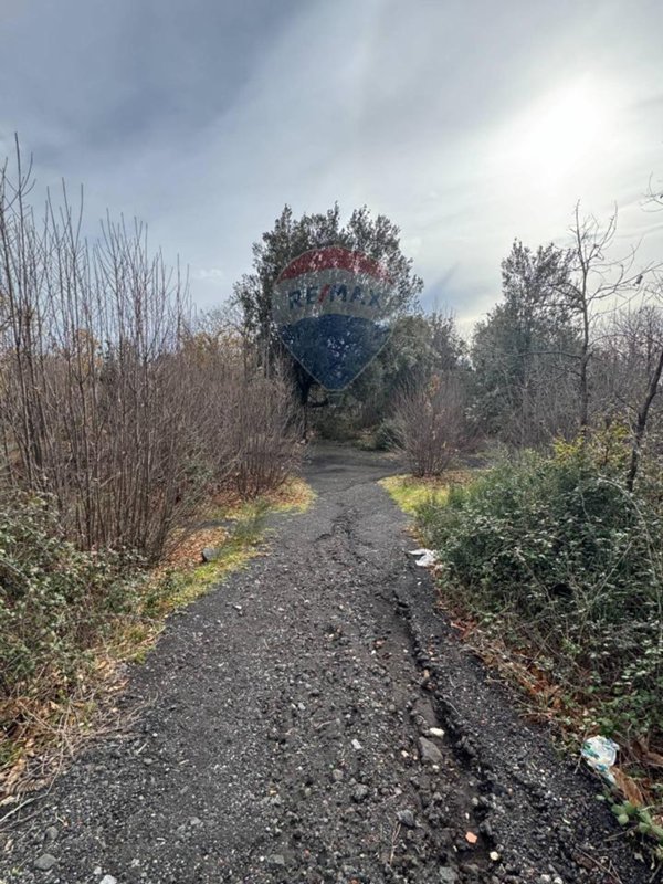 terreno agricolo in vendita a Pedara in zona Tarderia