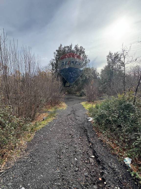 terreno agricolo in vendita a Pedara in zona Tarderia