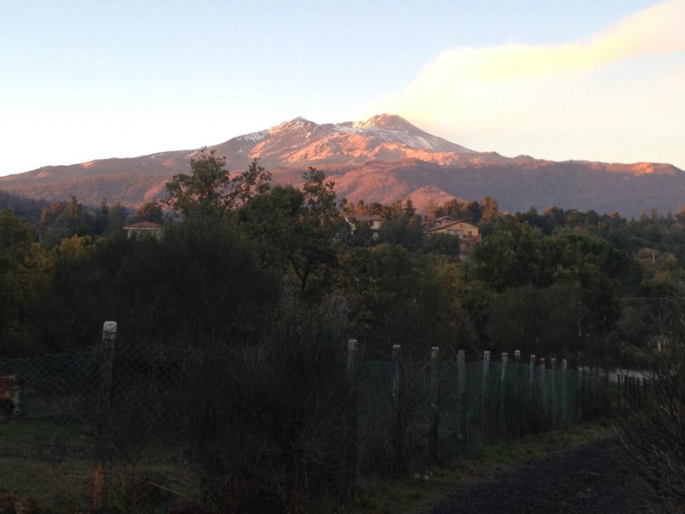terreno agricolo in vendita a Pedara in zona Tarderia