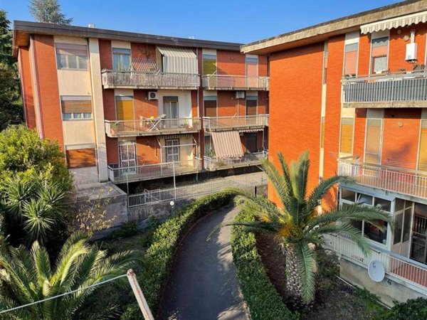 appartamento in vendita a Pedara