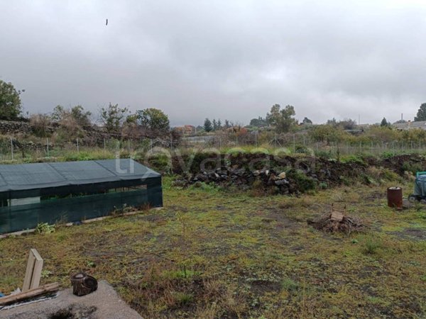 terreno agricolo in vendita a Pedara