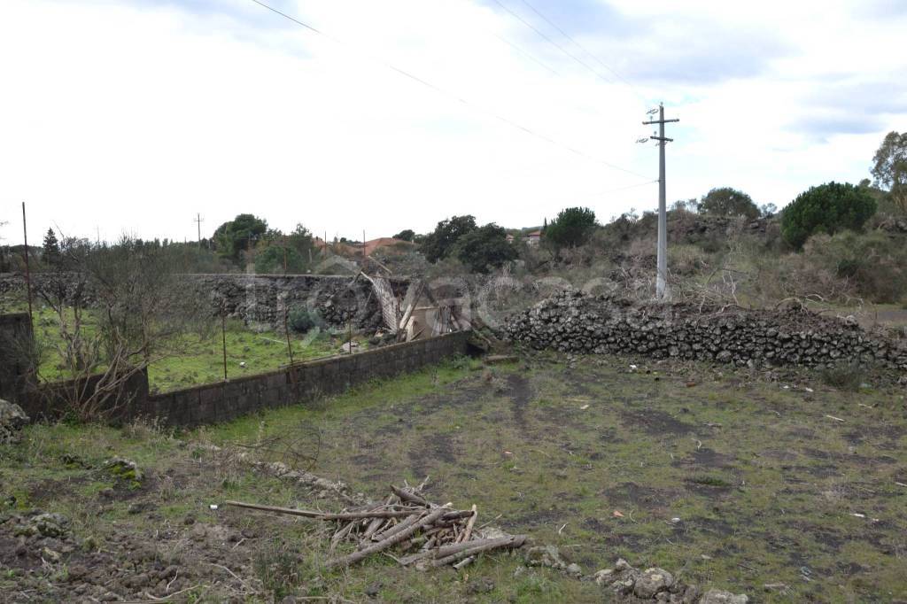 terreno agricolo in vendita a Pedara