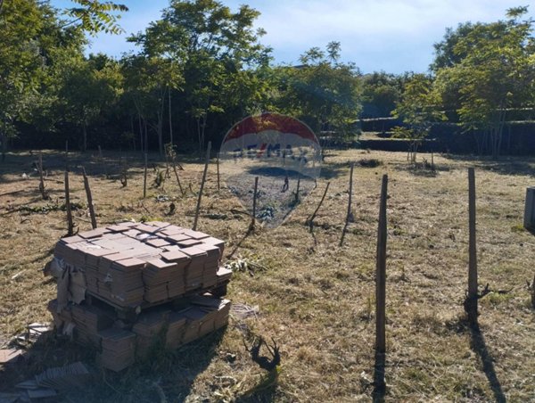terreno agricolo in vendita a Pedara in zona Tarderia