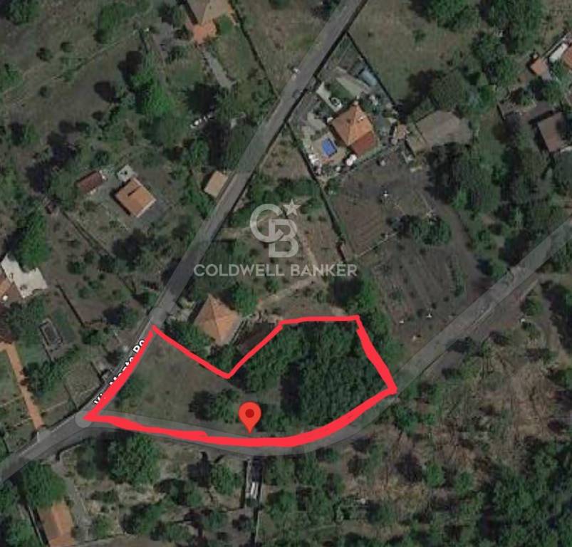 terreno agricolo in vendita a Pedara