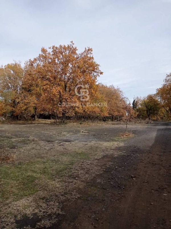 terreno agricolo in vendita a Pedara