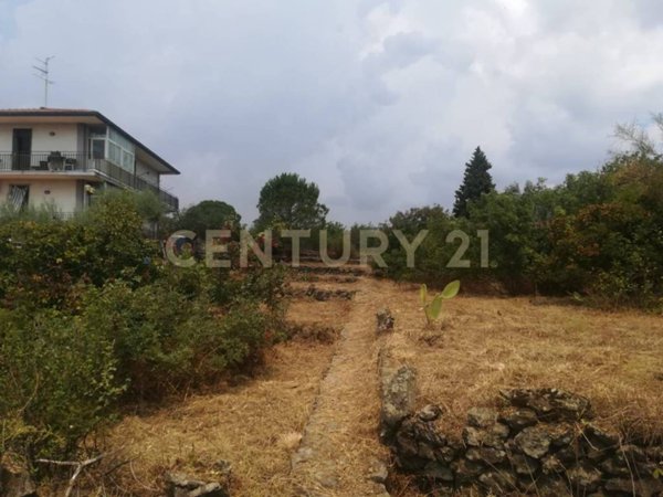 terreno agricolo in vendita a Pedara