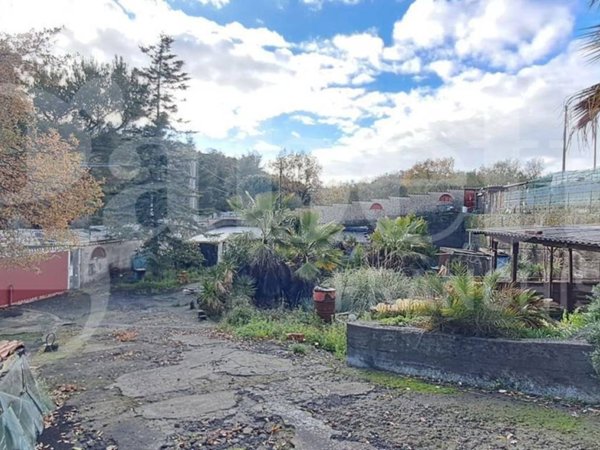 casa indipendente in vendita a Pedara