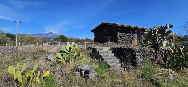 terreno agricolo in vendita a Pedara
