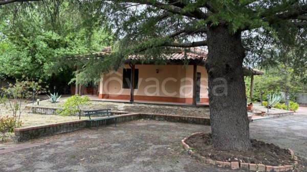 casa indipendente in vendita a Pedara
