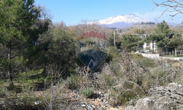 terreno agricolo in vendita a Pedara
