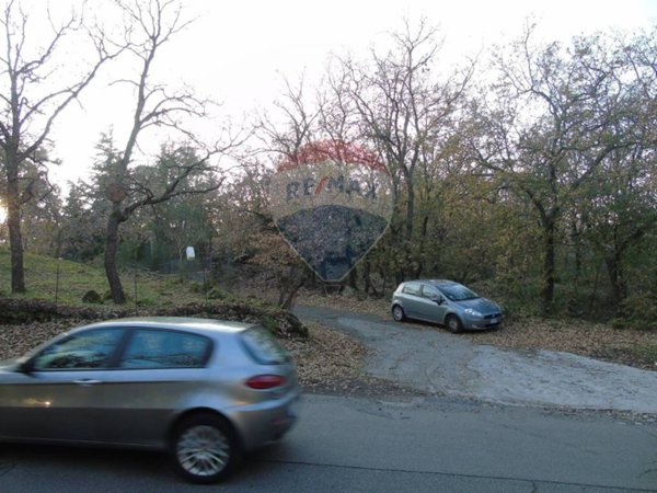 terreno agricolo in vendita a Pedara