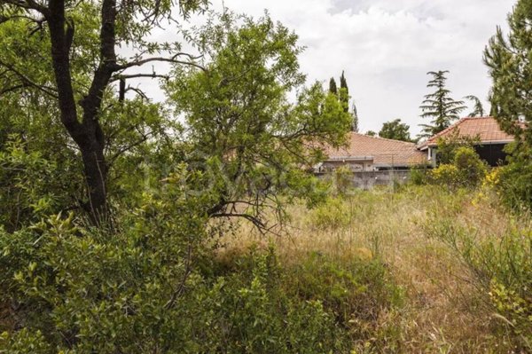 terreno agricolo in vendita a Pedara