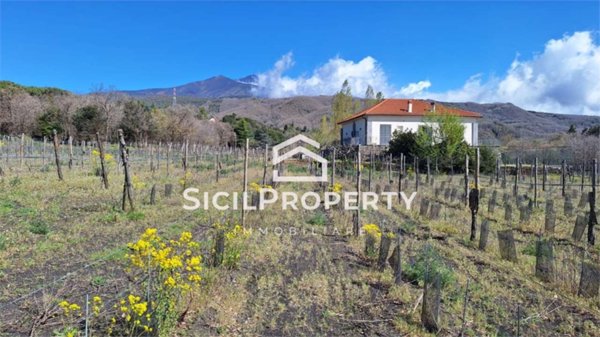 casa indipendente in vendita a Pedara in zona Tarderia