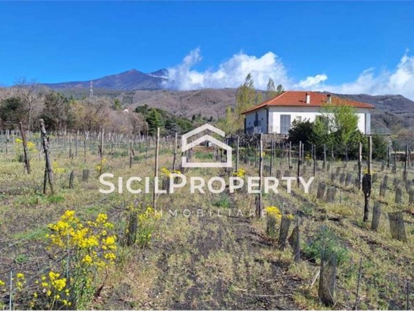 terreno agricolo in vendita a Pedara in zona Tarderia