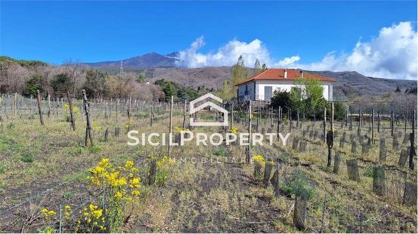 casa indipendente in vendita a Pedara in zona Tarderia