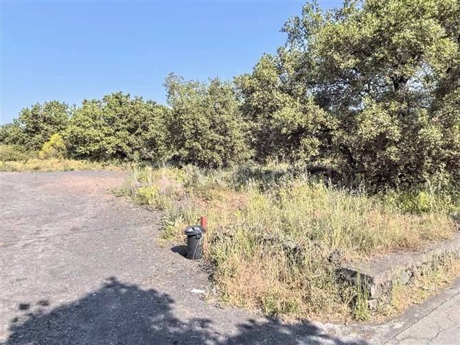 terreno agricolo in vendita a Pedara