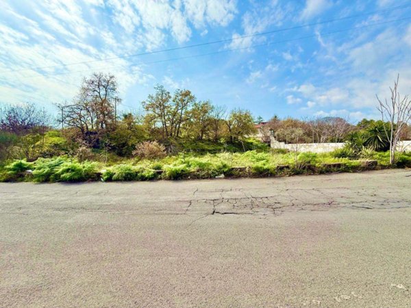 terreno agricolo in vendita a Pedara