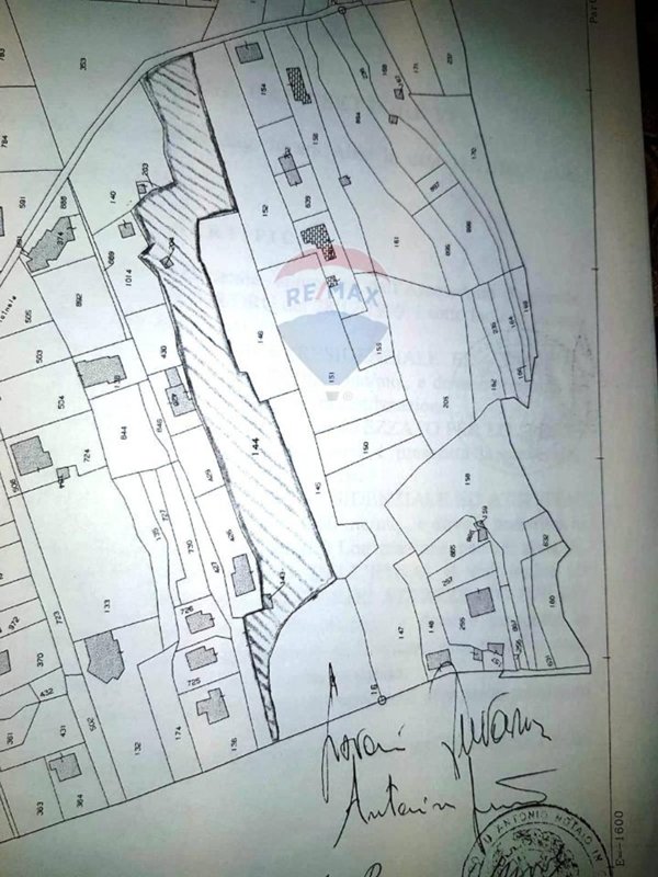 terreno agricolo in vendita a Pedara