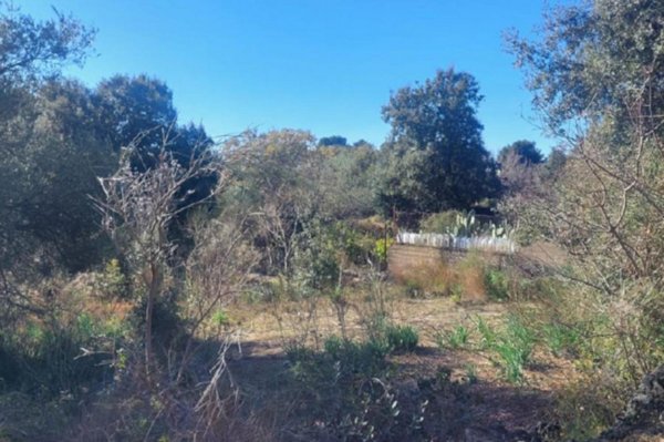 terreno edificabile in vendita a Pedara