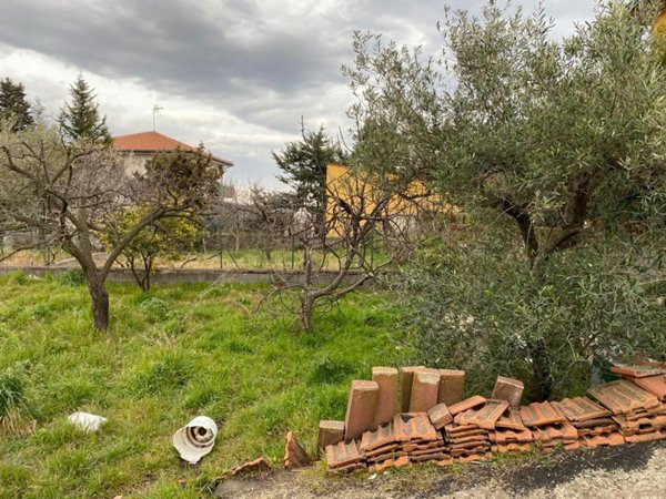 terreno agricolo in vendita a Pedara
