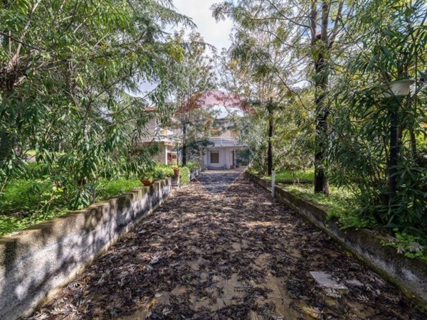 casa indipendente in vendita a Pedara