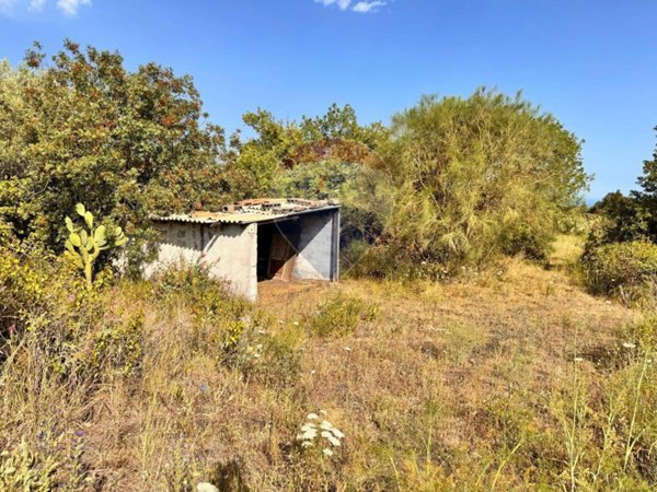 immagine annuncio 0 di 15