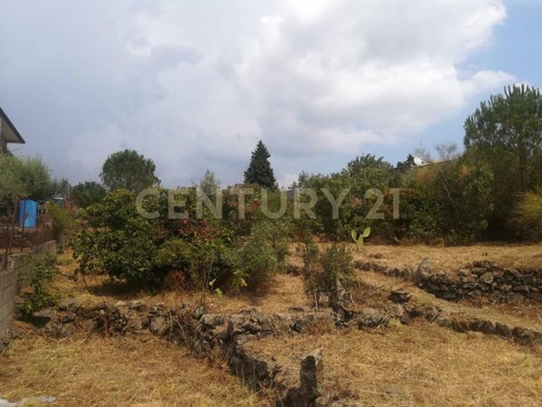 terreno agricolo in vendita a Pedara