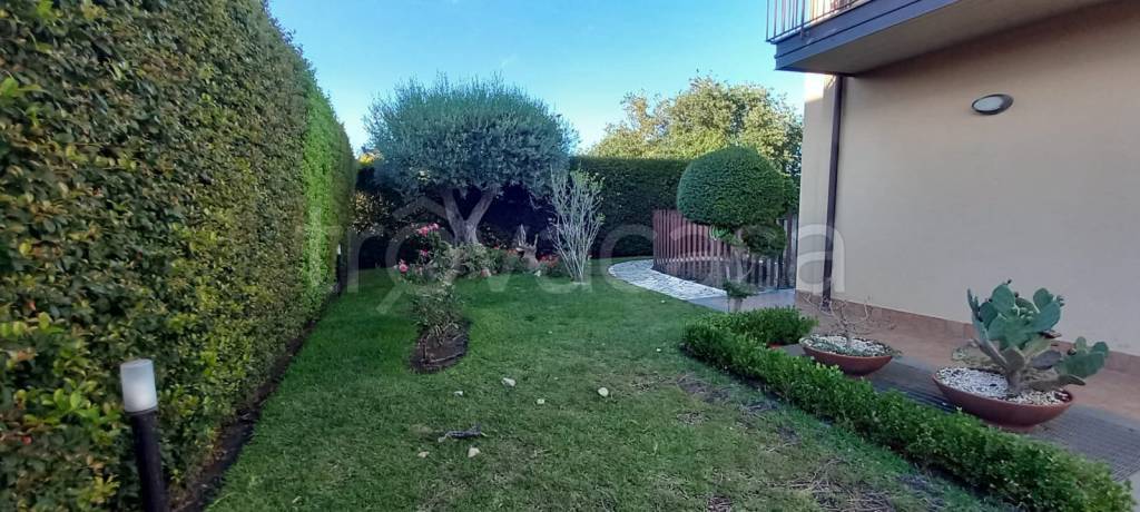 casa indipendente in vendita a Pedara