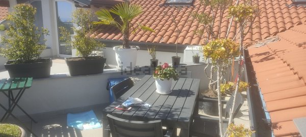 appartamento in vendita a Pedara