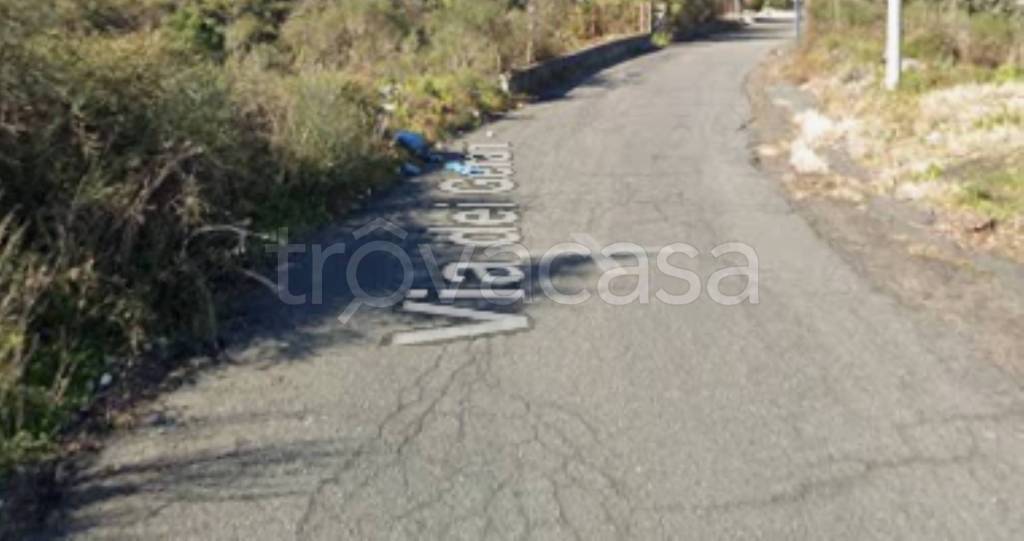 terreno agricolo in vendita a Pedara