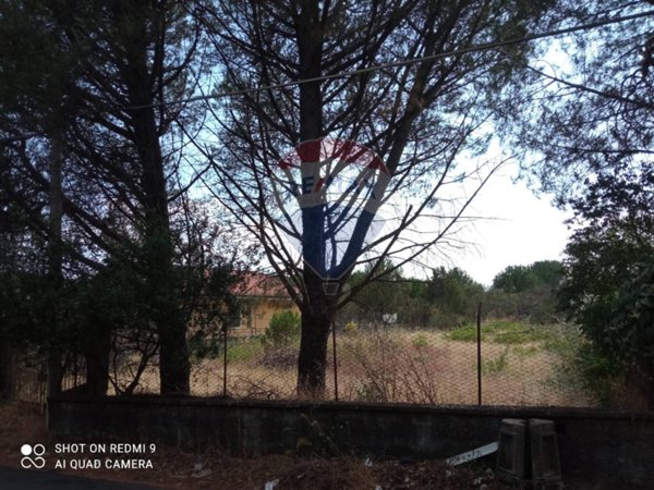 terreno agricolo in vendita a Pedara