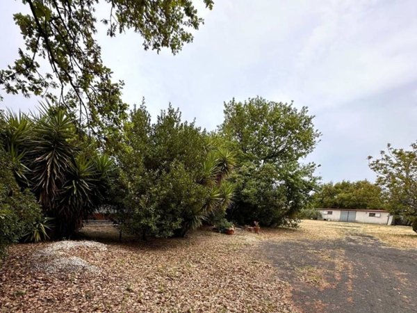 terreno agricolo in vendita a Pedara