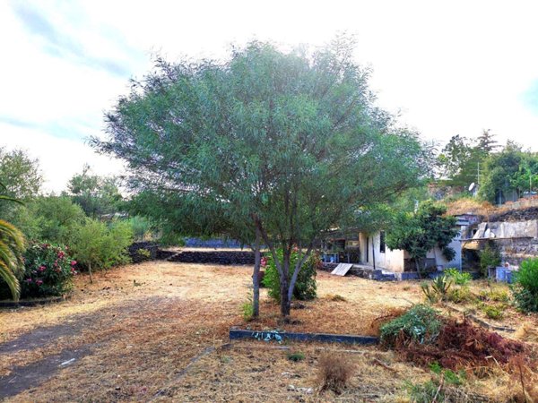 casa indipendente in vendita a Pedara