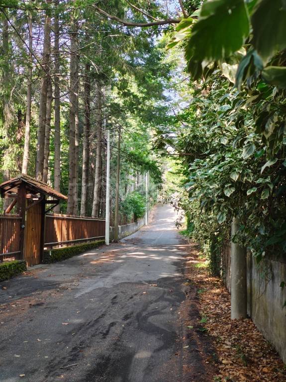 casa indipendente in vendita a Pedara