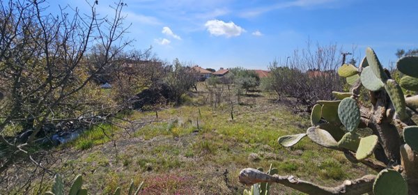 casa indipendente in vendita a Pedara